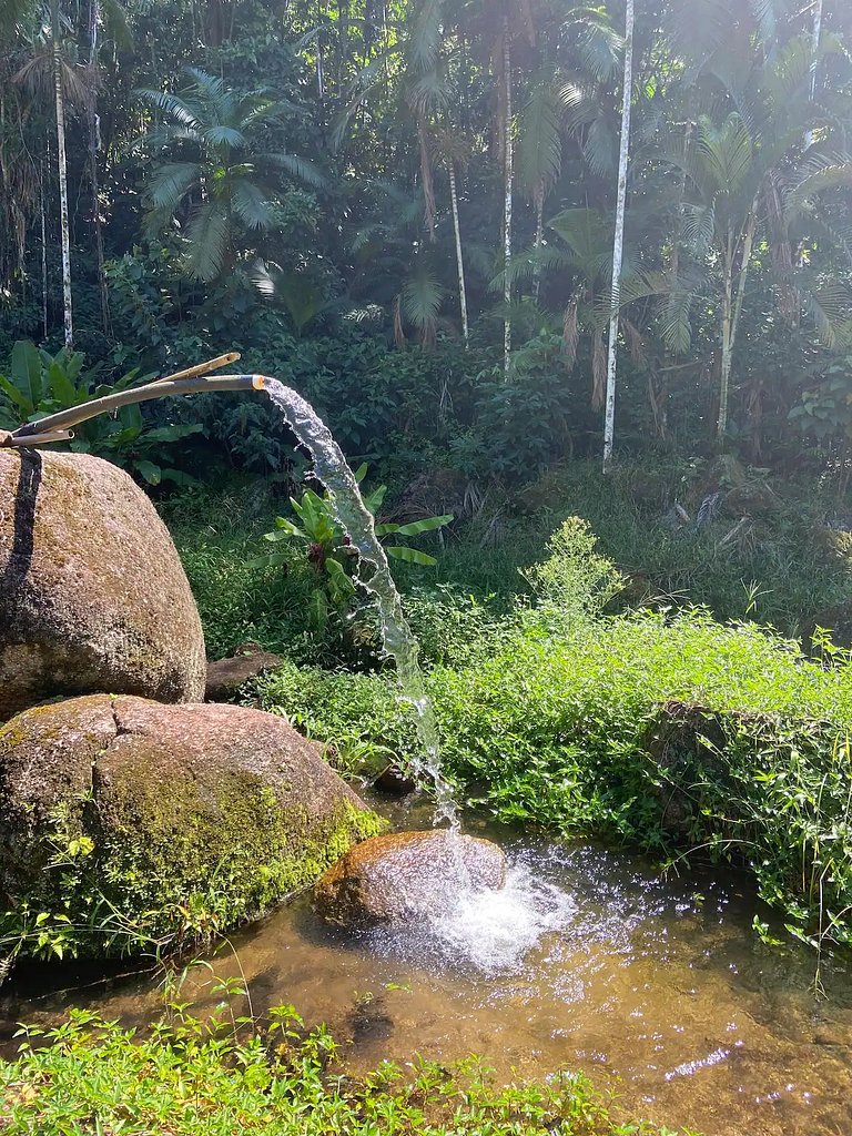 Sítio Castro | Uma cachoeira só para você
