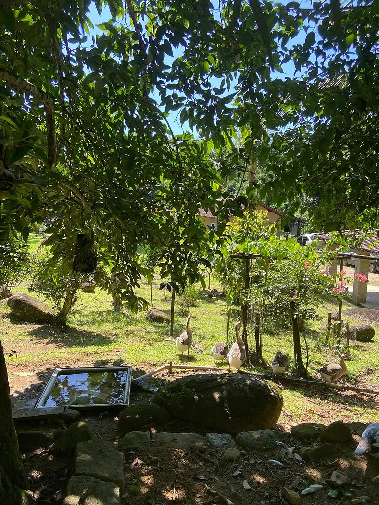 Sítio Castro | Uma cachoeira só para você