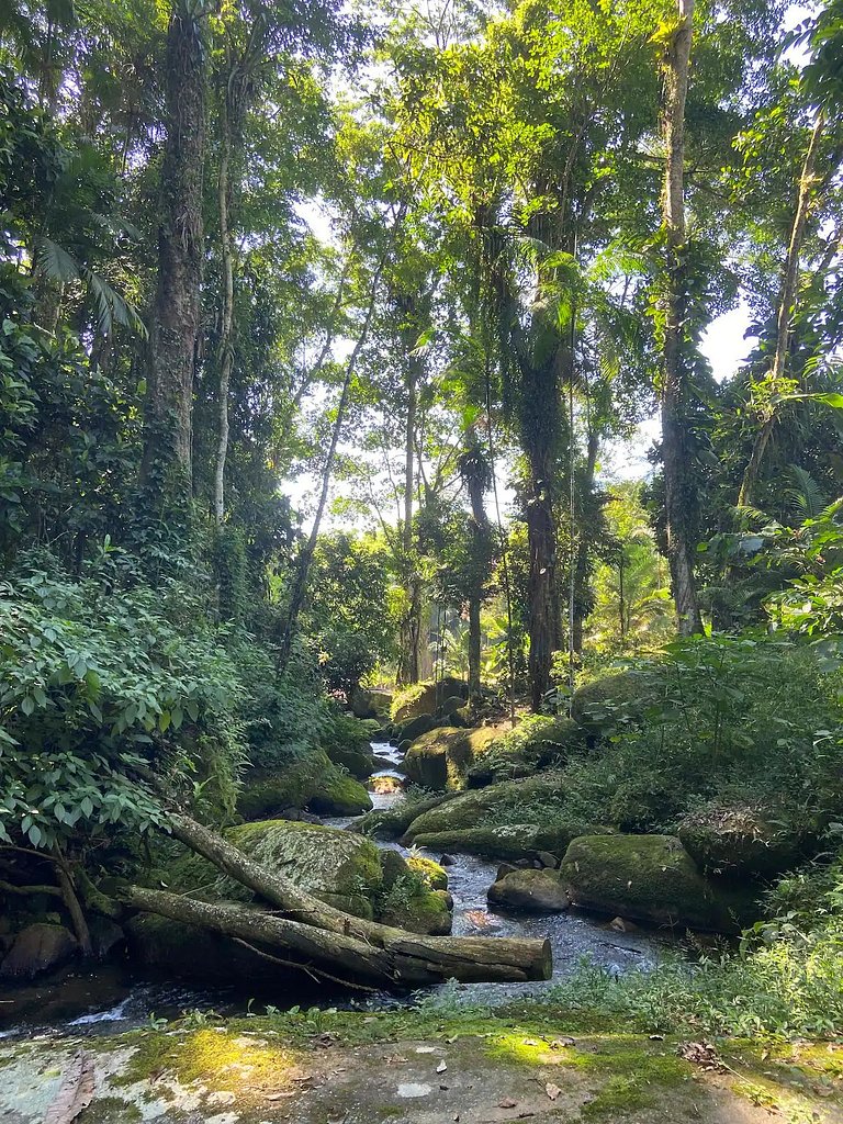 Sítio Castro | Uma cachoeira só para você