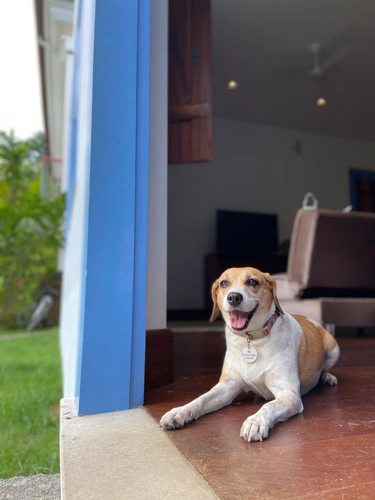 Casa Pícola | Uma casa moderna com estilo colonial