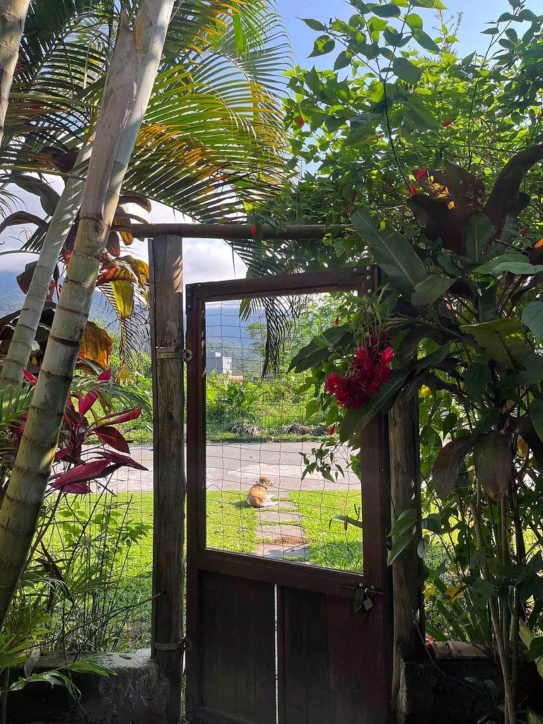 Tiny House Hibiscus | Charme nas montanhas