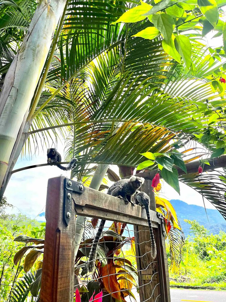 Tiny House Hibiscus – Refúgio Charmoso em Paraty