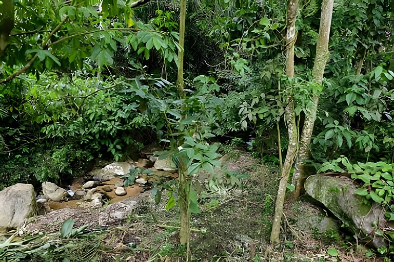Jubarte Chalés - suíte com cozinha na cachoeira